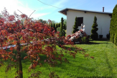 img_20160415_155722-copy