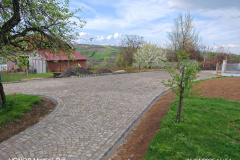 IMG_20250405_165458