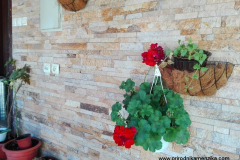 img_20160427_082518-copy